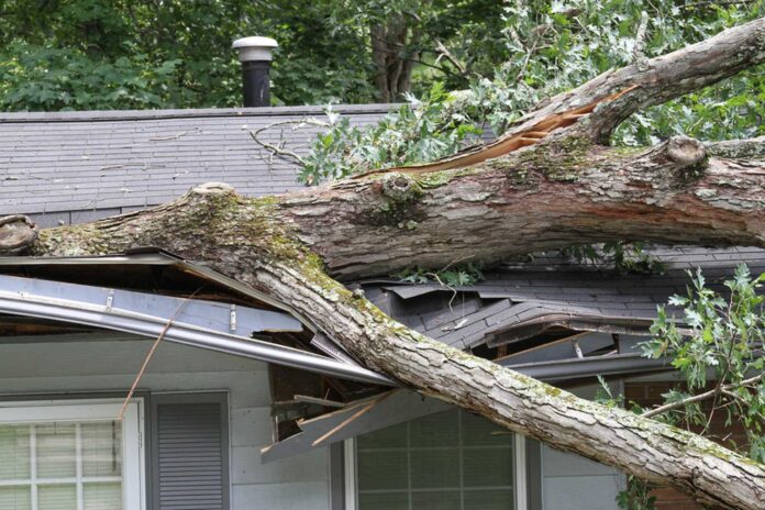 Tree Fallen On House Storm Damage
