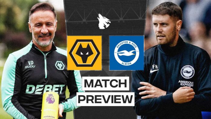 Wolves Vs Brighton Premier League Match