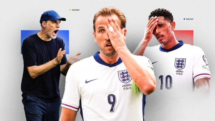 Ufc 316 Fight Night June 7