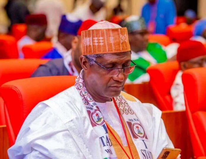 Abdulaziz Yar'adua, Nigerian Senator Politics