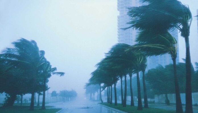Argentine Football Matches Under Rain And Fog