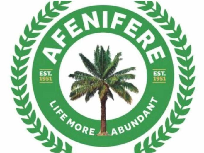 Afenifere Support Airstrikes