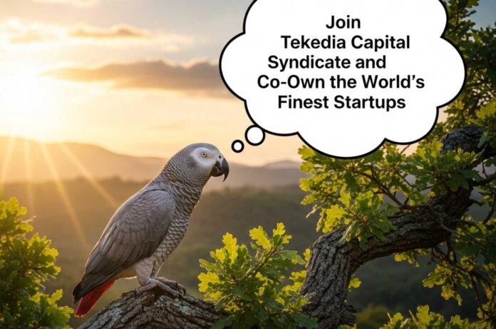 China Beef Import Tariff News