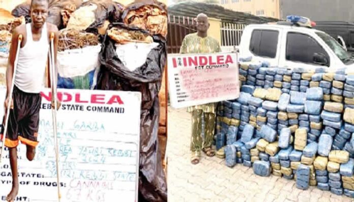 Drug Trafficking Bust In Nigeria
