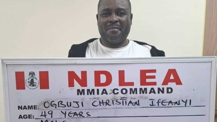 Ndlea Arrests Cocaine Traffickers