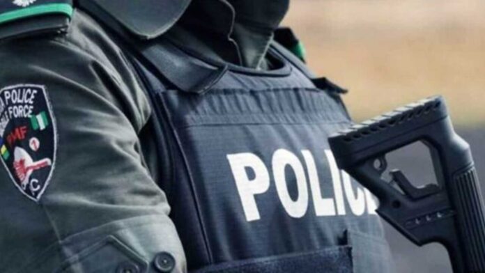 Police Raid Katsina Drug Peddler