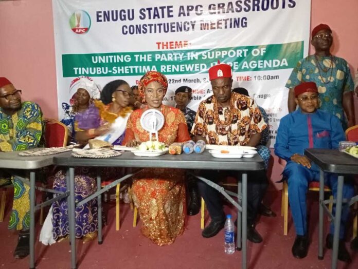 Apc Enugu State Chairman Meeting