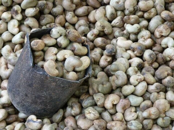 Nigeria Cashew Industry Export Earnings