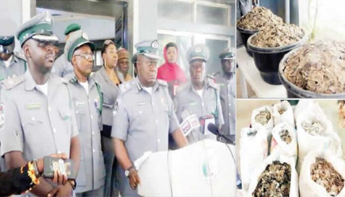 Nigeria Customs Service Pangolins Interception