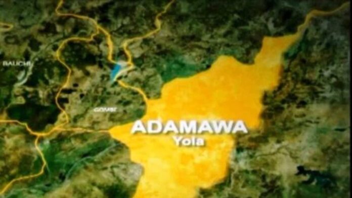 Yola South, Adamawa State, Acid Attack News