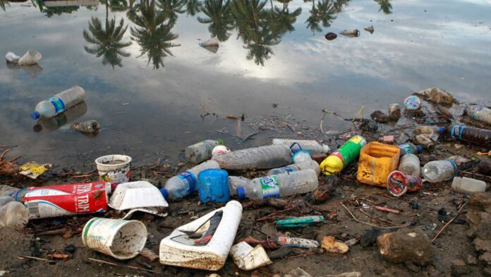 Disposable Water Bottles In National Parks