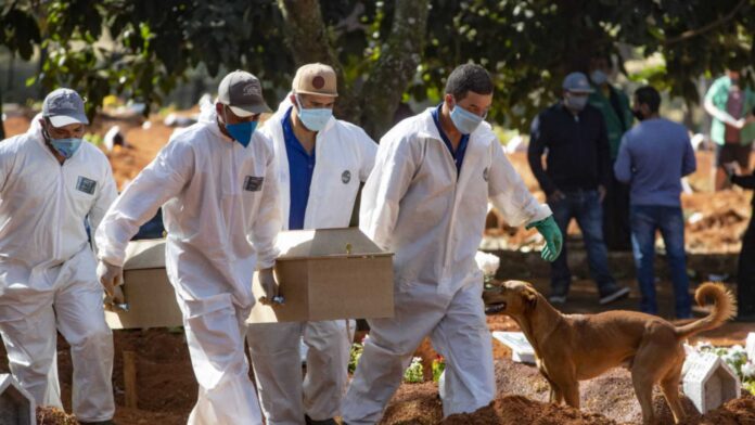 Dog Burial Sao Paulo Brazil