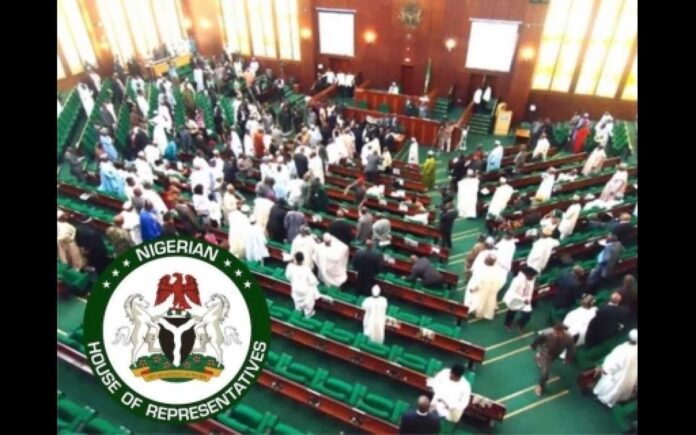 Nigerian National Assembly In Session