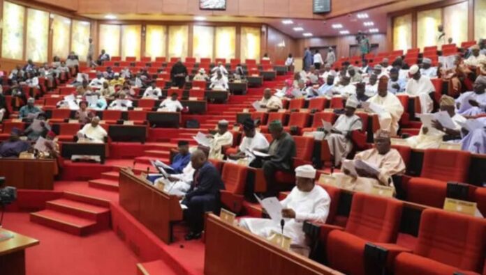 Nigerian Senate Chamber Protest