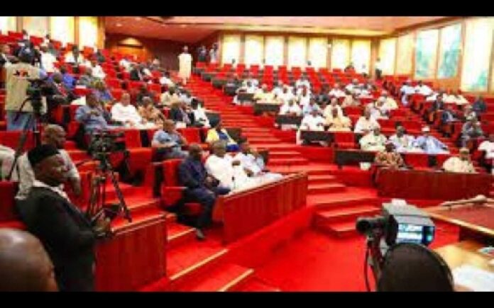 Nigerian Senate In Session