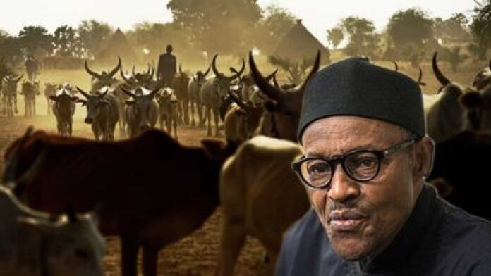 Yobe Ruga Settlement Fulani Community