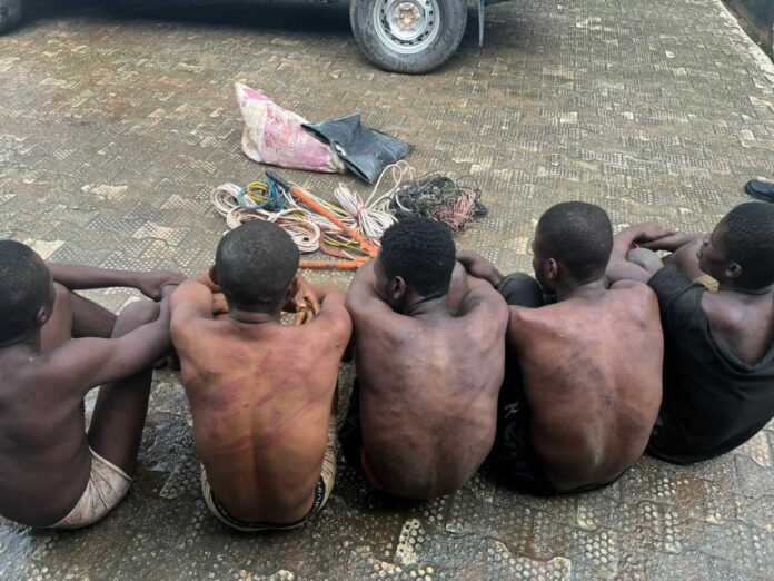Anambra Police Arrest Armed Robbery Suspects