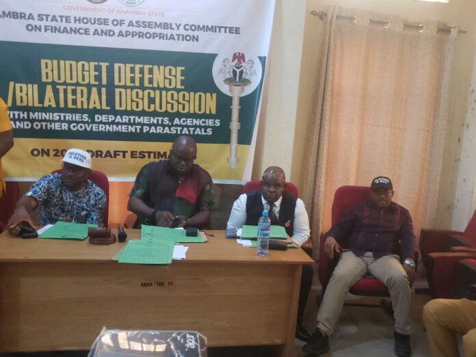 Chiamaka Nnake Anambra Ssg Appointment