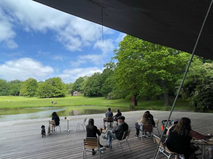 Davido Performing At Crystal Palace Bowl Festival