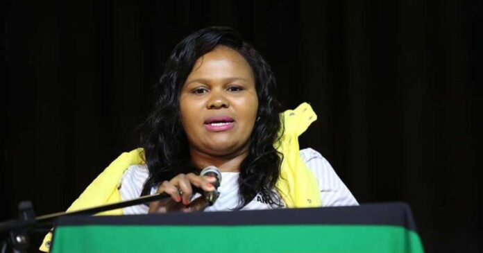 Nelson Mandela Bay Mayor Babalwa Lobishe Parliamentary Hearing