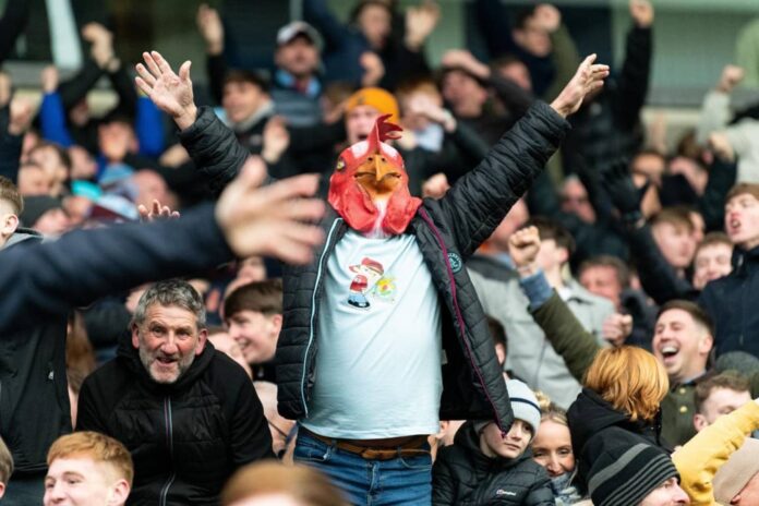 Brighton Players Celebrating Goal Against Burnley