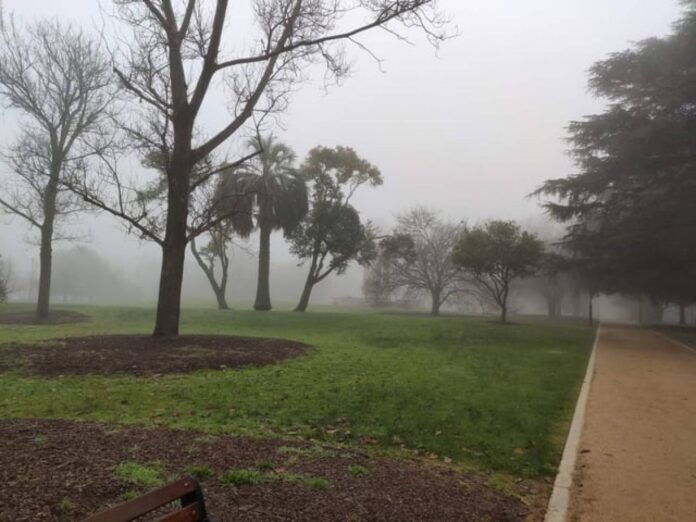 Caulfield Park Memorial Damage Melbourne