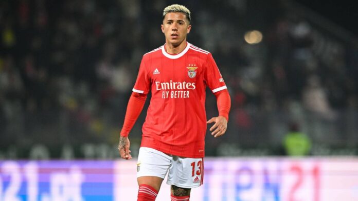 Enzo Fernandez Chelsea Midfielder Suspension