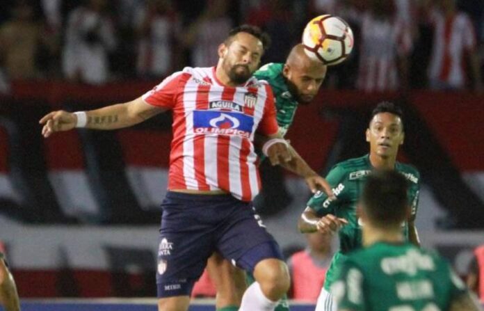Palmeiras Vs Junior Barranquilla Libertadores Match