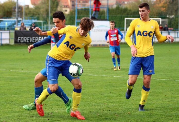 Viktoria Plzeň Vs Teplice Football Match